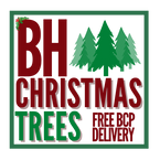 BH Christmas Trees